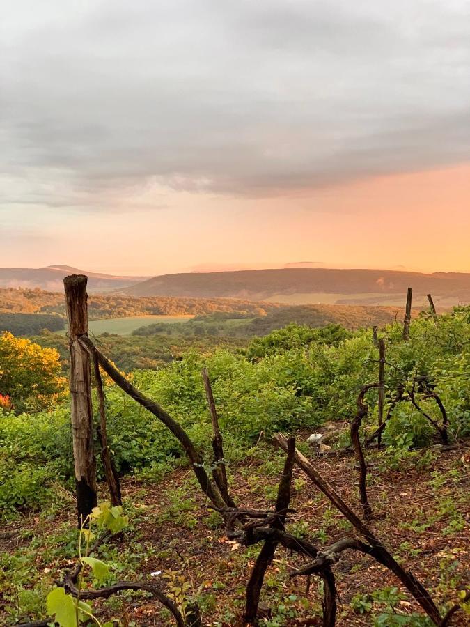 Kis Vulkán Mencshely Esterno foto